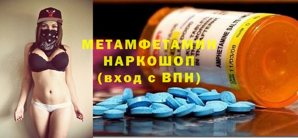 хмурый Аркадак