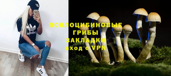 хмурый Аркадак