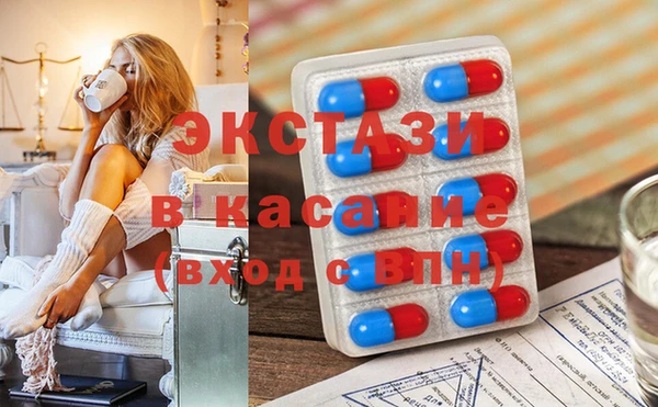 хмурый Аркадак