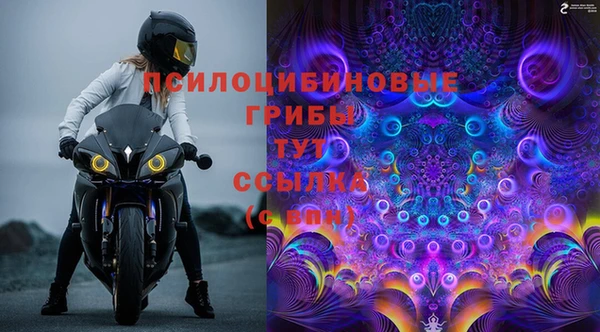 прущая мука Арсеньев