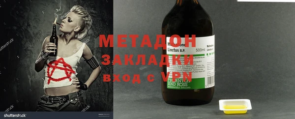 хмурый Аркадак