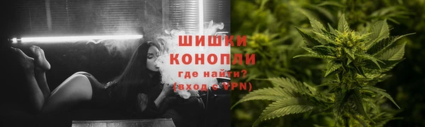прущая мука Арсеньев