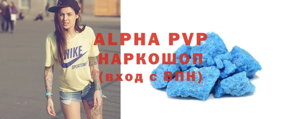 стафф Корсаков