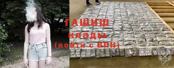хмурый Аркадак