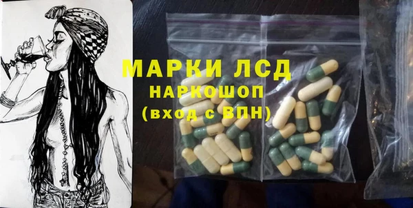 хмурый Аркадак