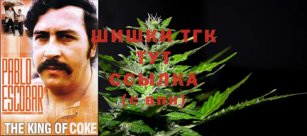 хмурый Аркадак