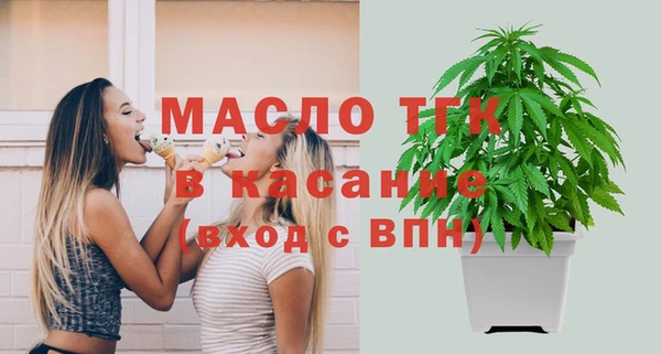 хмурый Аркадак