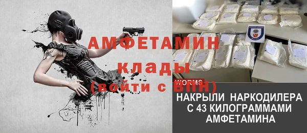 хмурый Аркадак
