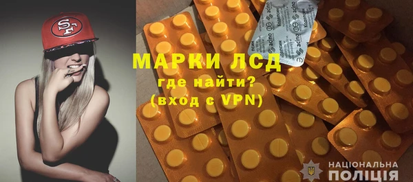 хмурый Аркадак