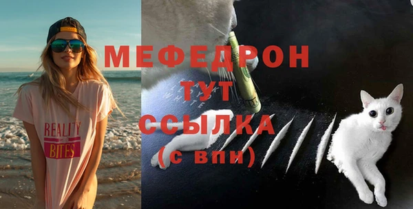 хмурый Аркадак