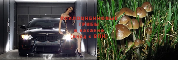 прущая мука Арсеньев