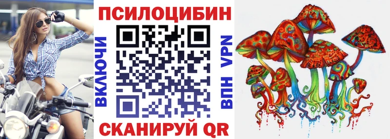 Галлюциногенные грибы мицелий  Купить  Камышлов 